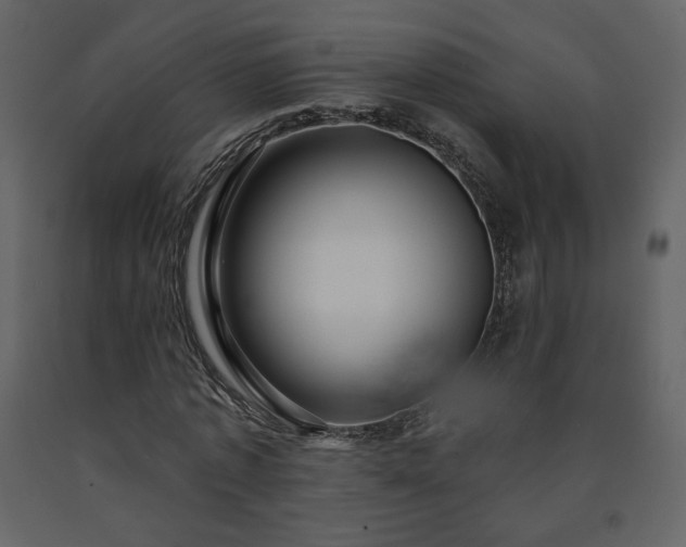 X0000091510773200708241628