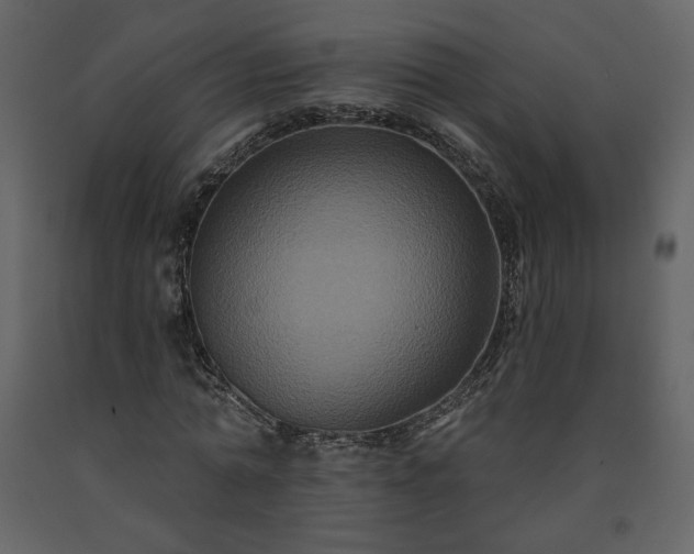 X0000091510774200708241628