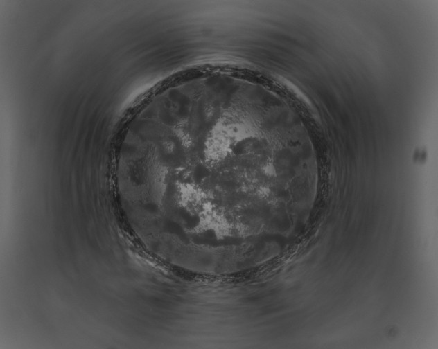 X0000091510775200708241628