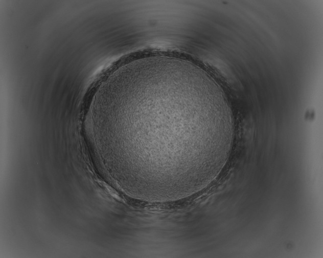 X0000091510776200708241628