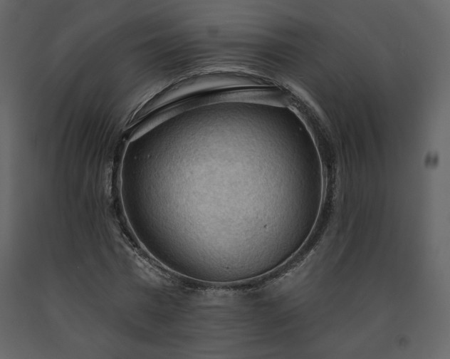 X0000091510777200708241628