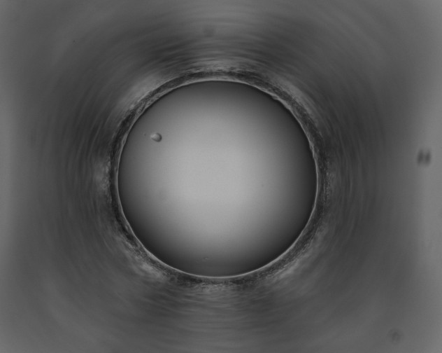 X0000091510778200708241628