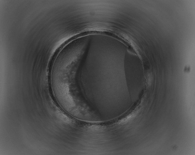 X0000091510779200708241628