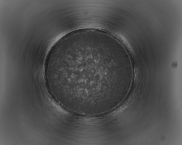 X0000091510780200708241628