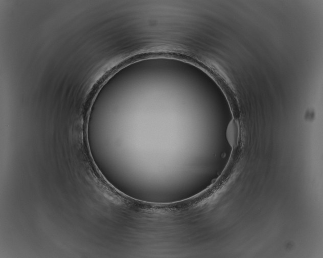 X0000091510781200708241628