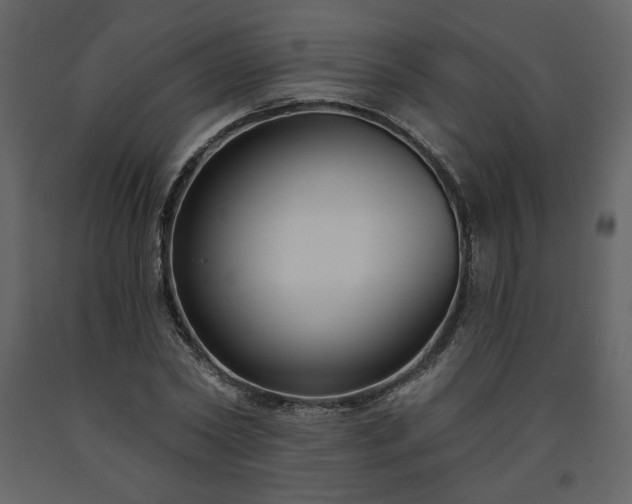 X0000091510782200708241628