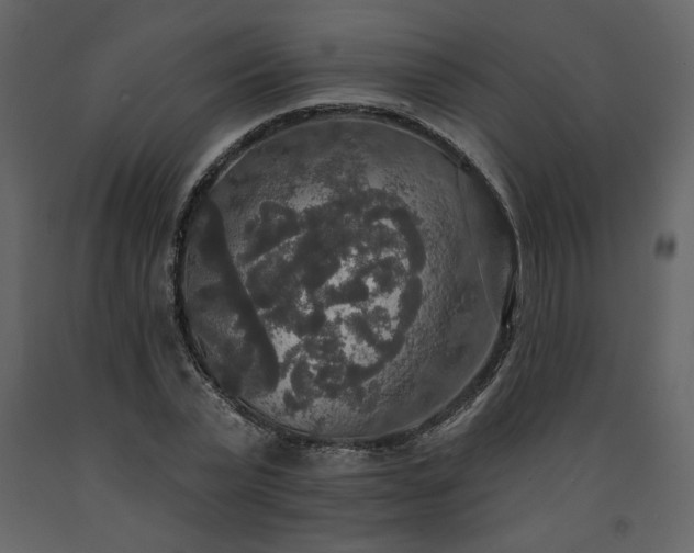 X0000091510783200708241628