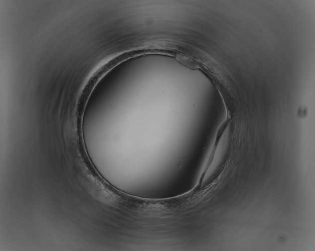 X0000091510784200708241628