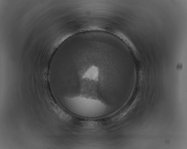 X0000091510785200708241628