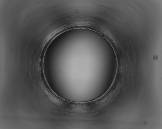 X0000091510786200708241628