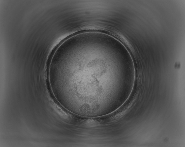 X0000091510787200708241628