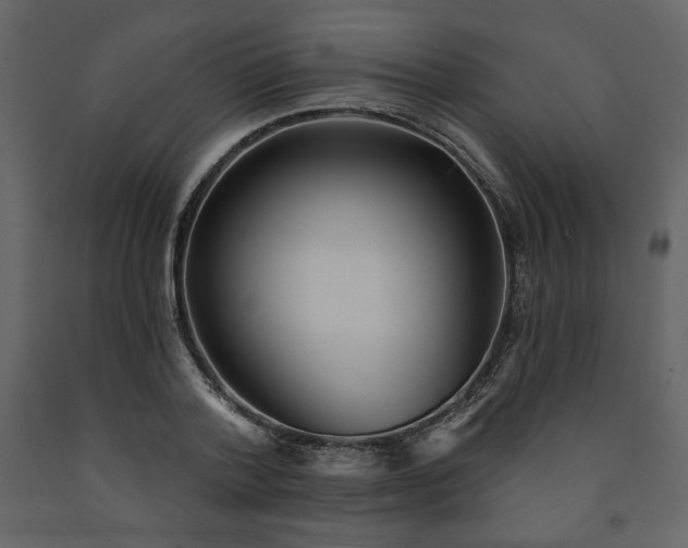 X0000091510788200708241628