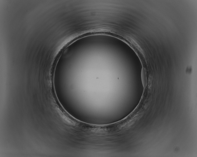 X0000091510789200708241628