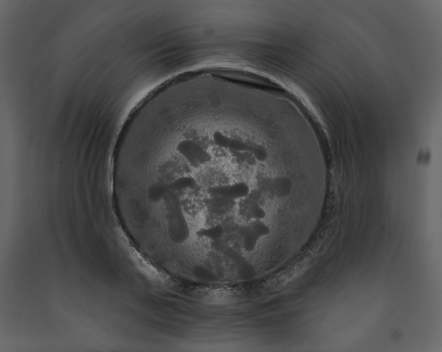 X0000091510791200708241628