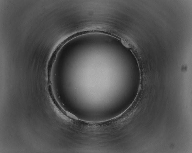 X0000091510792200708241628