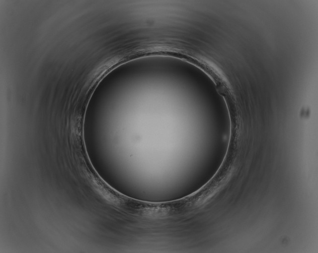 X0000091510793200708241628