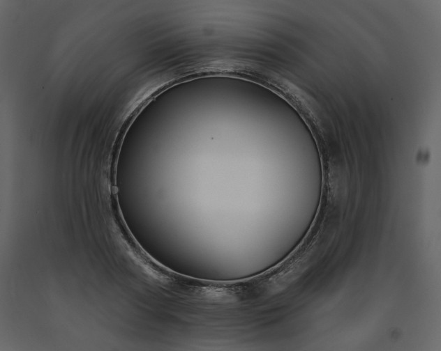 X0000091510794200708241628