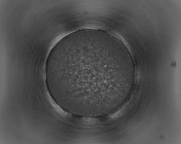 X0000091510795200708241628