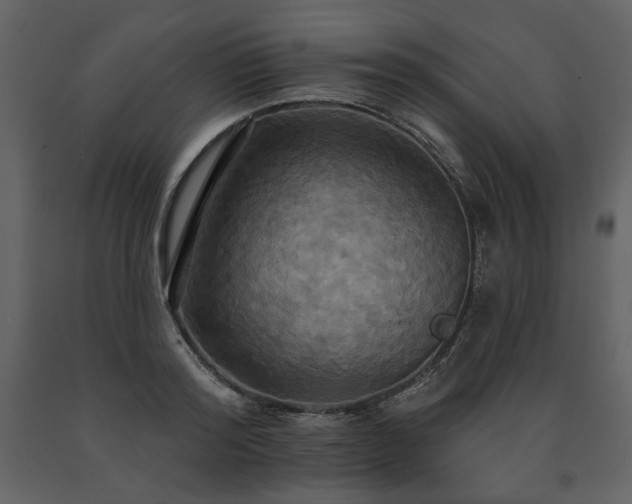 X0000091510796200708241628