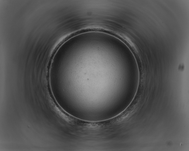 X0000091510799200708241628