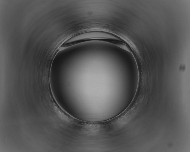 X0000091510801200708241628