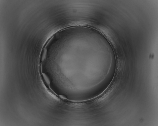 X0000091510802200708241628