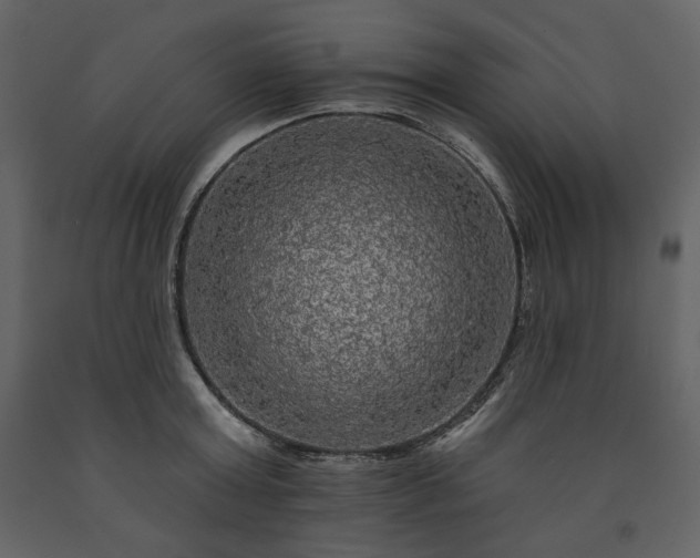 X0000091510803200708241628