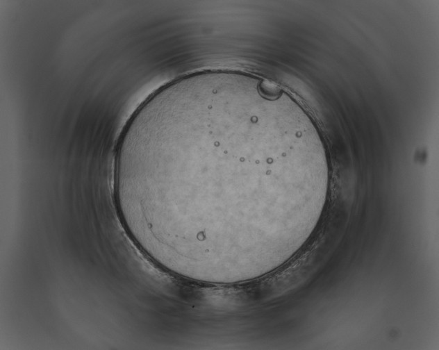 X0000091510804200708241628