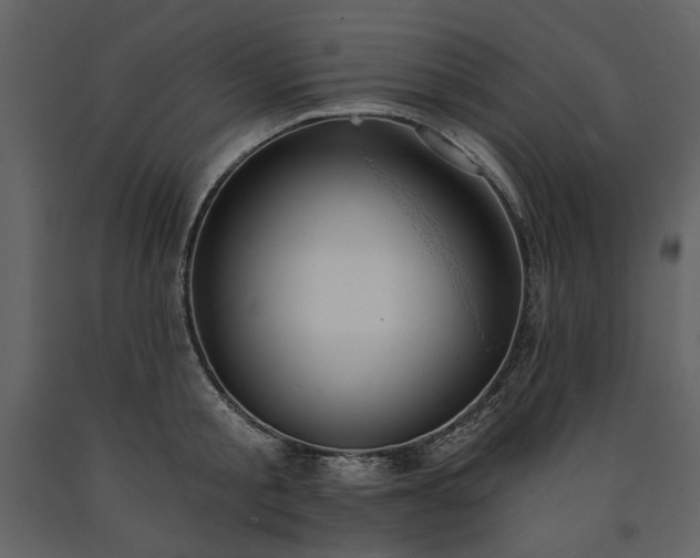 X0000091510805200708241628