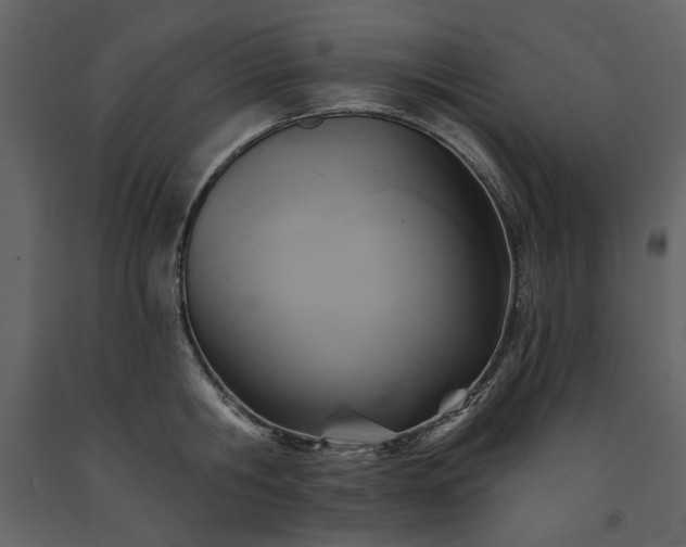 X0000091510806200708241628