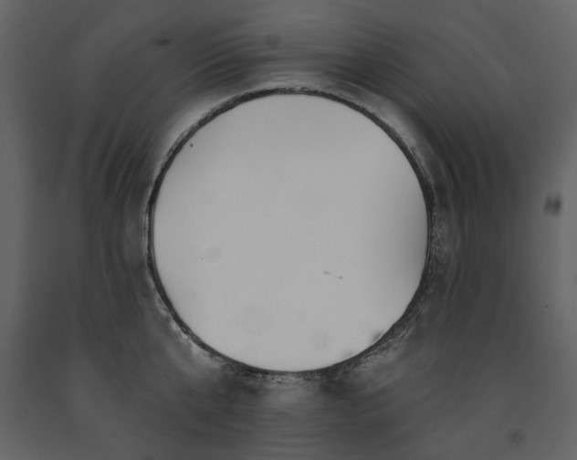 X0000091510807200708241628