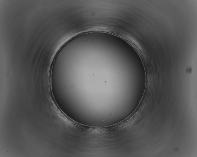 X0000091510808200708241628