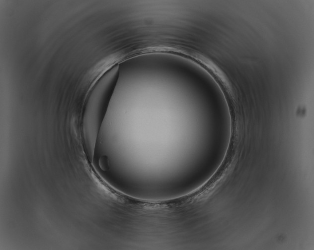 X0000091510809200708241628