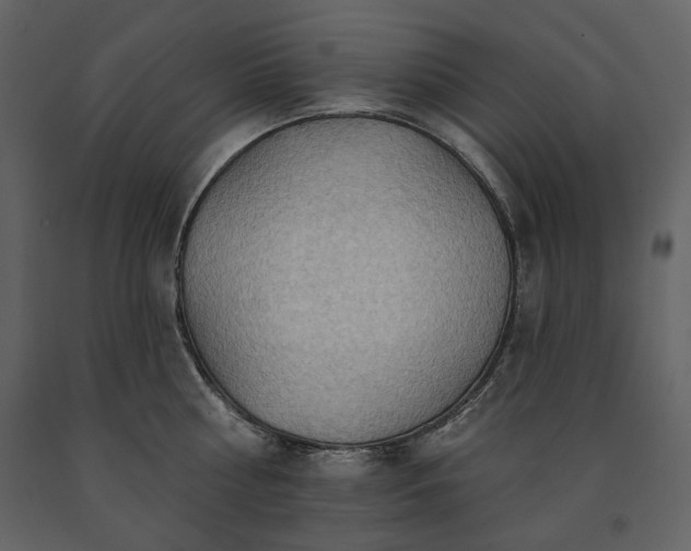 X0000091510810200708241628