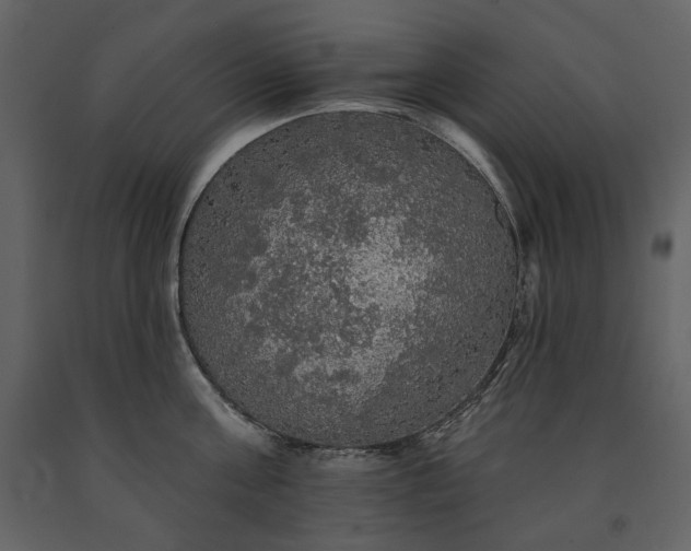 X0000091510811200708241628