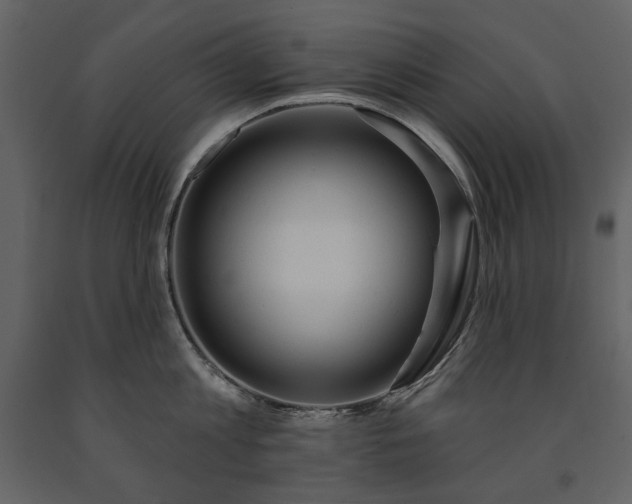 X0000091510813200708241628