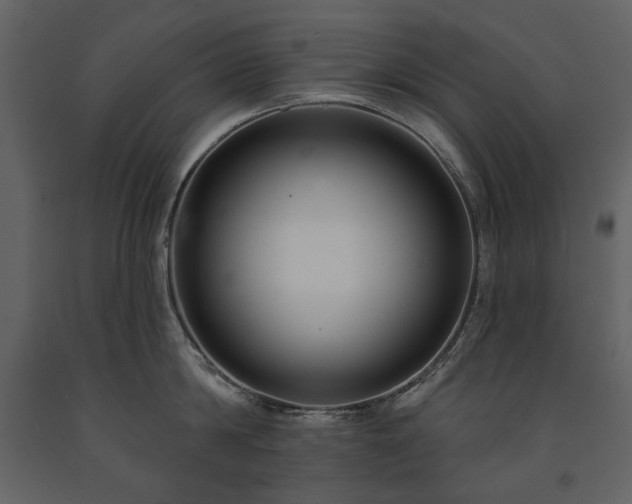 X0000091510814200708241628