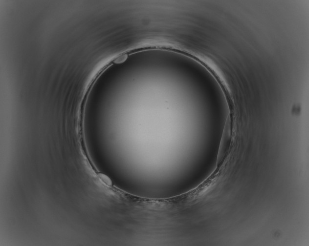 X0000091510815200708241628