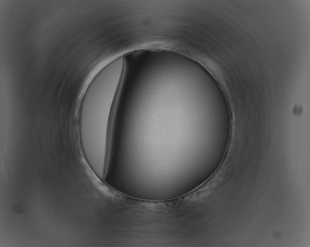 X0000091510816200708241628