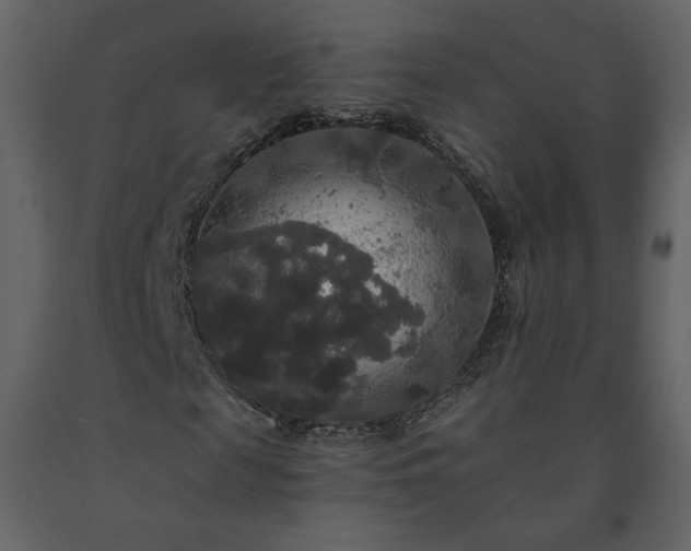 X0000091510817200708241627