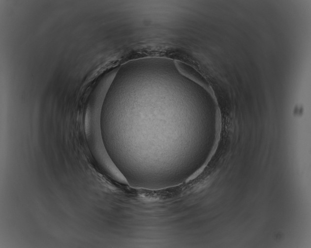 X0000091510818200708241627