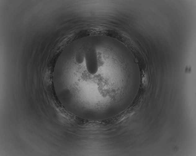 X0000091510819200708241627