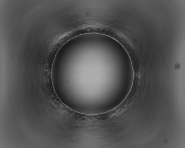 X0000091510822200708241627