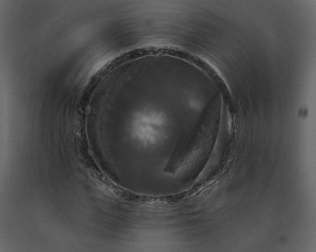 X0000091510823200708241627