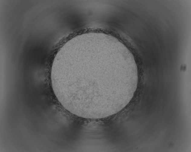 X0000091510824200708241627