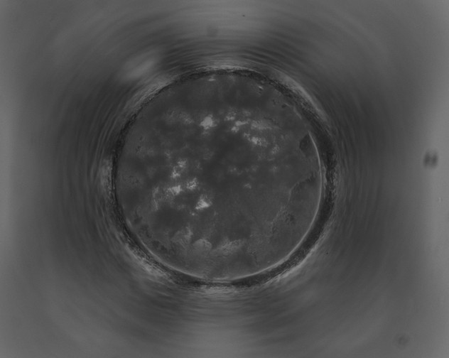 X0000091510825200708241627