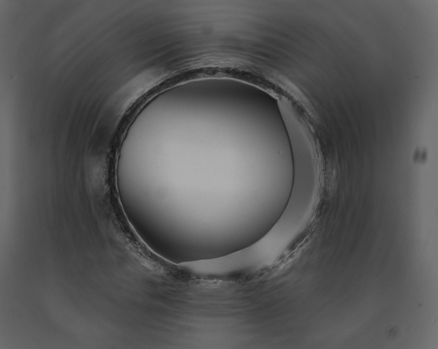 X0000091510826200708241627