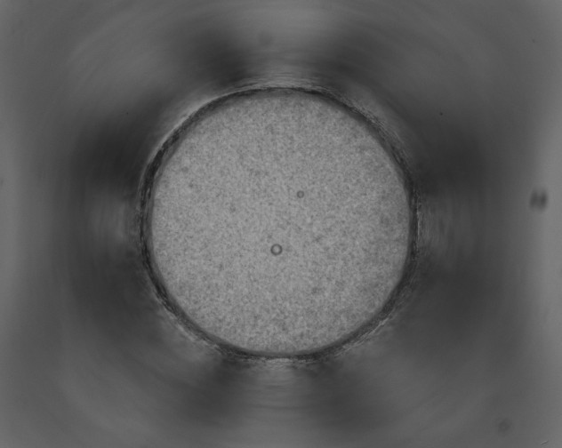 X0000091510828200708241627