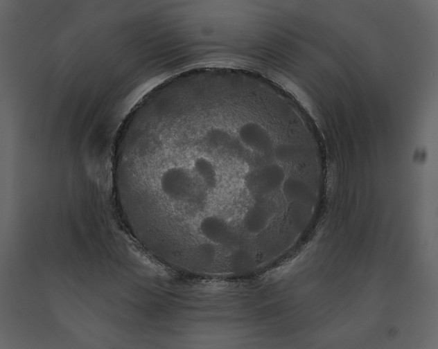 X0000091510829200708241627