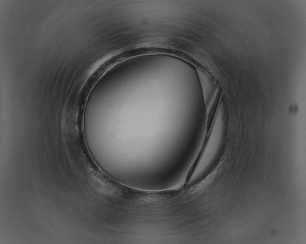 X0000091510830200708241627